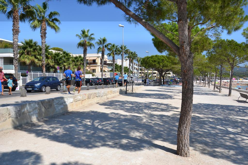 Maredda La Ciotat